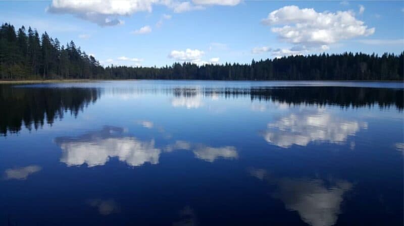 Bleibtreusee